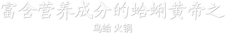 富含营养成分的蛤蜊黄帝之鸟蛤火锅