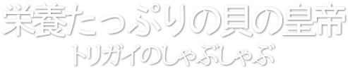 栄養たっぷりの貝の皇帝、トリガイのしゃぶしゃぶ