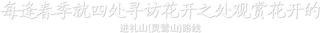 每逢春季就四处寻访花开之处观赏花开的进礼山(灵鹫山)路线