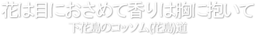 花は目におさめて香りは胸に抱いて下花島のコッソム(花島)道