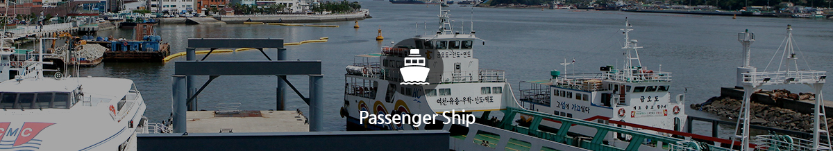 Passenger Ship