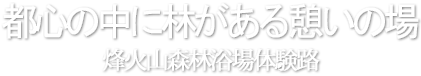 都心の中に林がある憩いの場、 烽火山森林浴場体験路