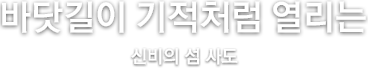 바닷길이 기적처럼 열리는 신비의 섬 사도