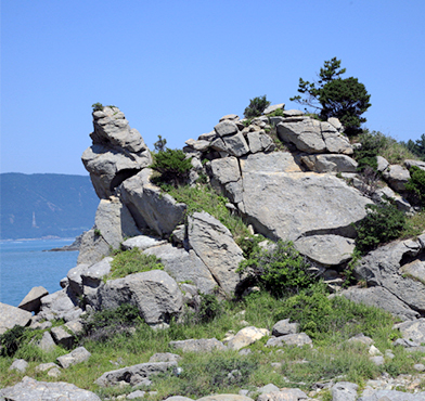 시루섬 입구의 거북바위