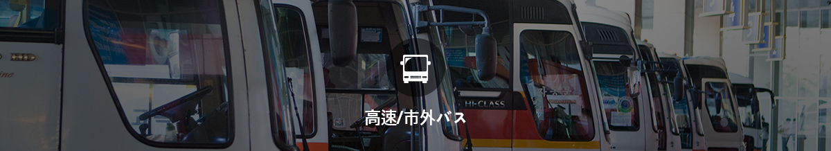 Express/Intercity Bus