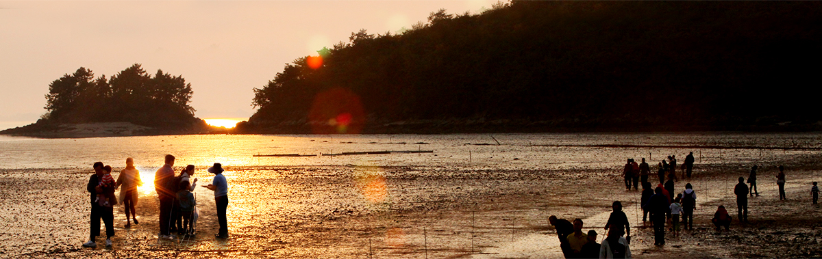여자만갯벌노을축제 - 갯벌 풍경