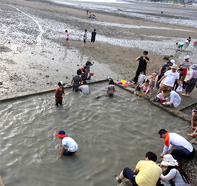 갯벌에서 체험하는 모습