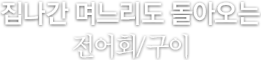 집나간 며느리도 돌아오는 전어회/구이
