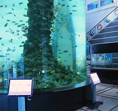 수산시장의 수족관