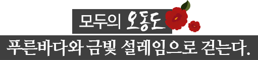 모두의 오동도, 푸른 바다와 금빛 설레임으로 걷는다.