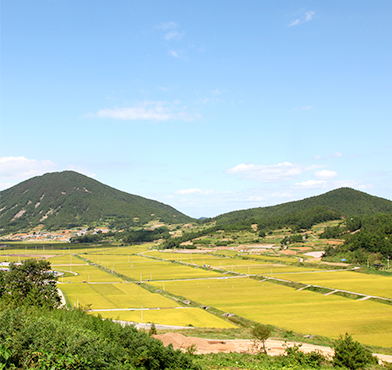 3코스 길에서 마주하는 산과 논의 전경
