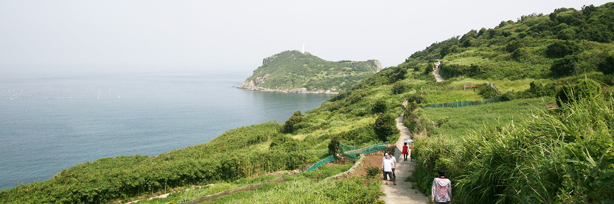 녹산등대 가는 길
