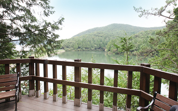 잘 정비된 등산로에서 바라본 수원지 전경