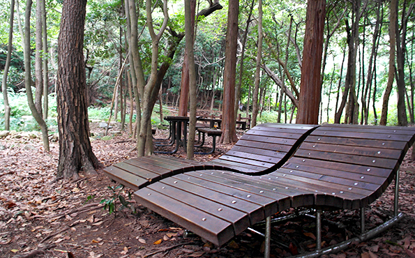 봉화산 산림욕장 전경