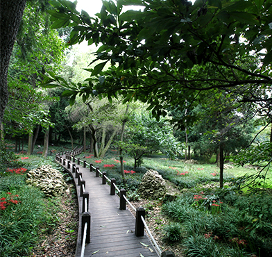 잘 정돈된 숲길