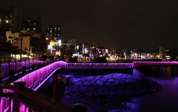 보라색으로 빛나는 동동다리