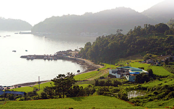 초록빛 논으로 둘러싸인 벌가 마을 전경