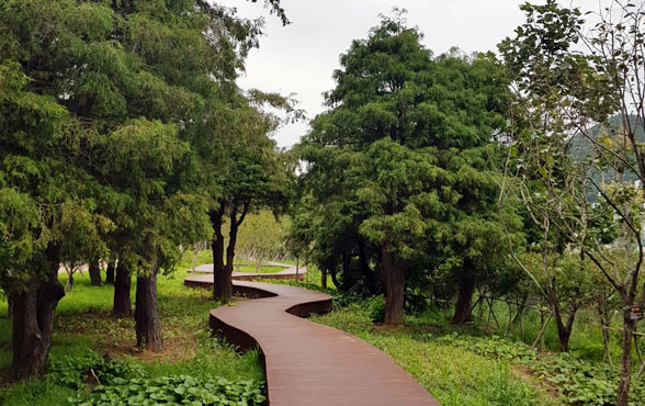 나무 사이로 놓여진 미평공원 길