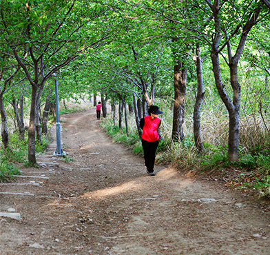 고락산코스길을 오르는 등산객