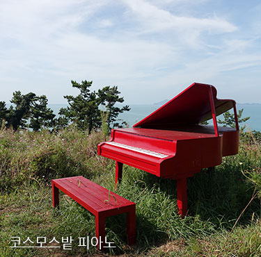 코스모스밭 피아노 전경