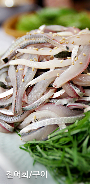 전어회/구이