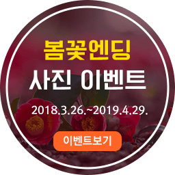 봄꽃엔딩 사진이벤트
