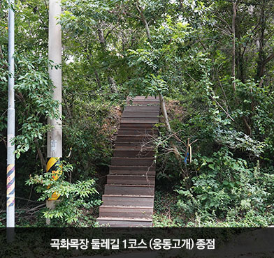 곡화목장 둘레길 1코스 (웅동고개) 종점