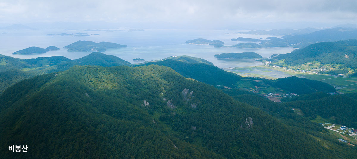 비봉산 전경