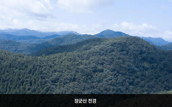 장군산 전경