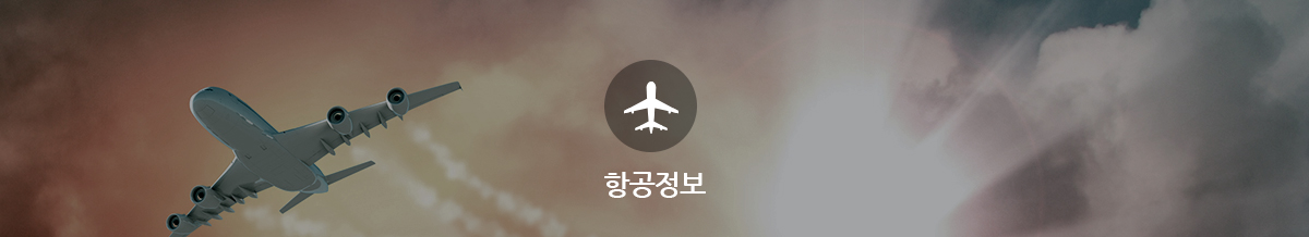 항공정보