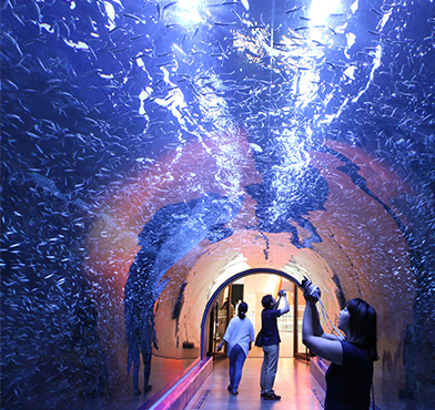 アクアプラネット内部の様子