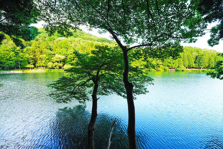 미평산림욕장_03.jpg