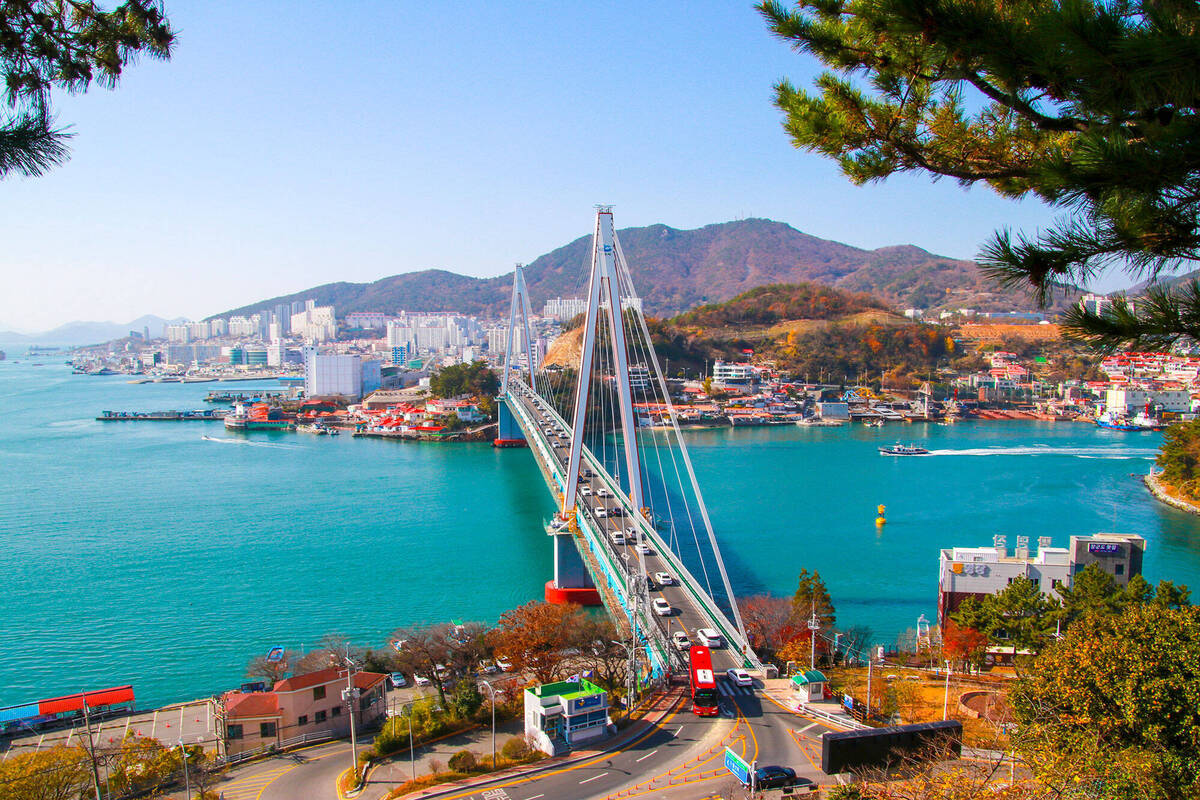 공원에서 바라보는 돌산대교 전경