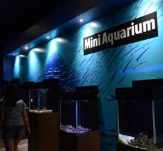 아쿠아플라넷 여수