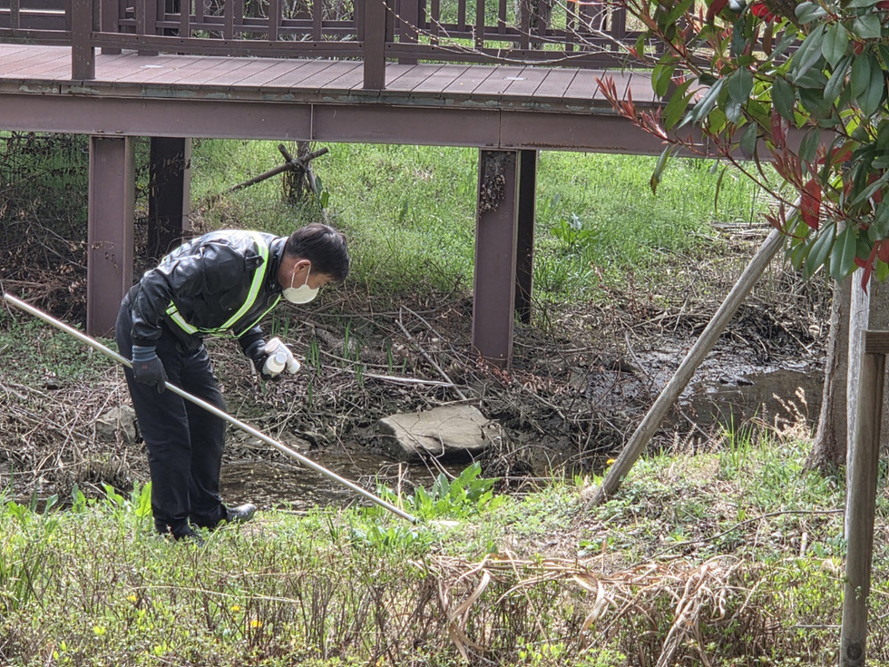 6-2 여수시, 일본뇌염 주의보 발령에 선제적 방역 강화.jpg