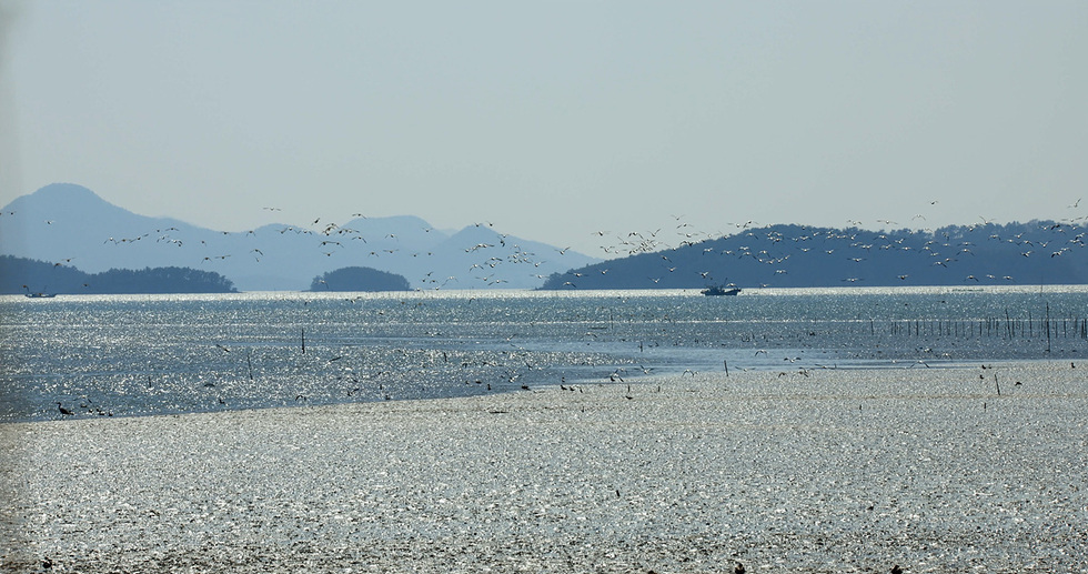 1-3_丽水汝自湾, 确定扩大列入联合国教科文组织世界遗产名录.jpg
