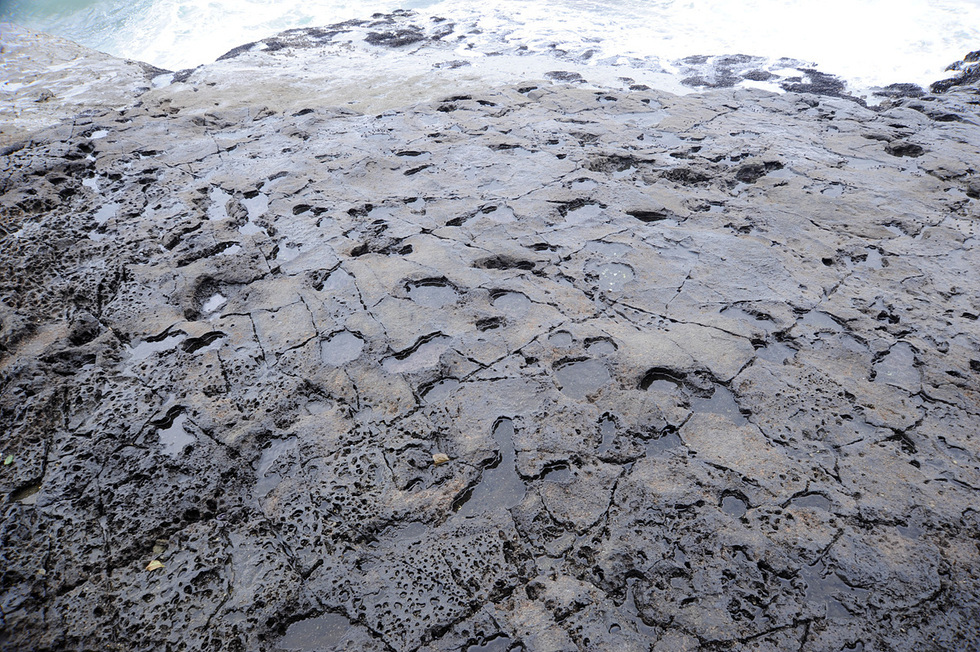 DinosaurFootprintFossilSiteinNangdo